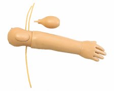 高級嬰兒動脈注射模型